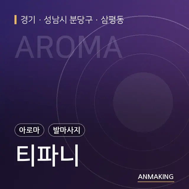 경기 성남시 분당구 티파니 안내 이미지