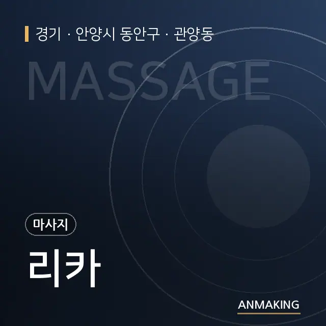 경기 안양시 동안구 리카 안내 이미지