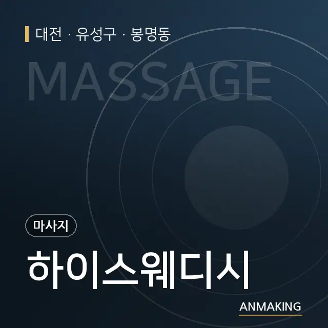 대전 유성구 하이스웨디시 안내 이미지