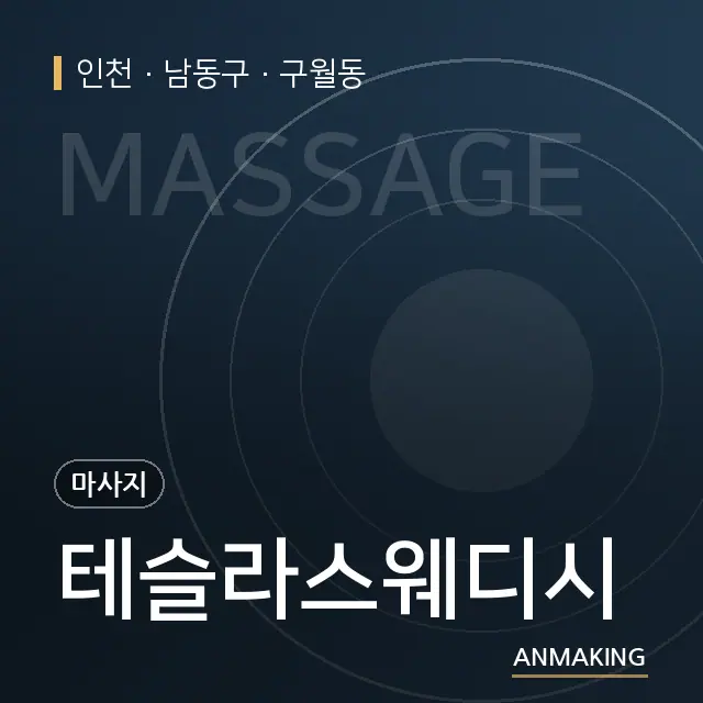 인천 남동구 테슬라스웨디시 안내 이미지