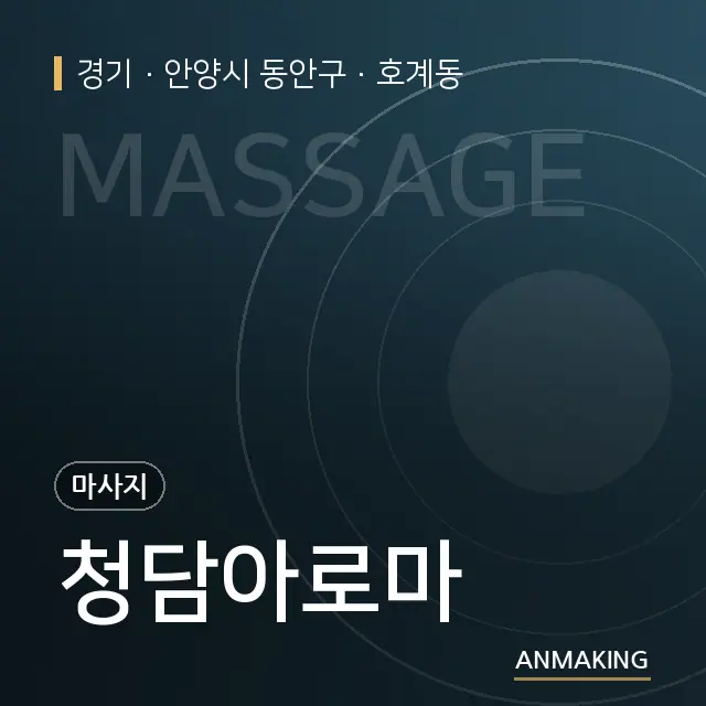 경기 안양시 동안구 청담아로마 안내 이미지