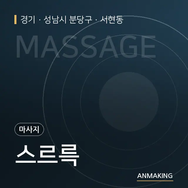 경기 성남시 분당구 스르륵 안내 이미지