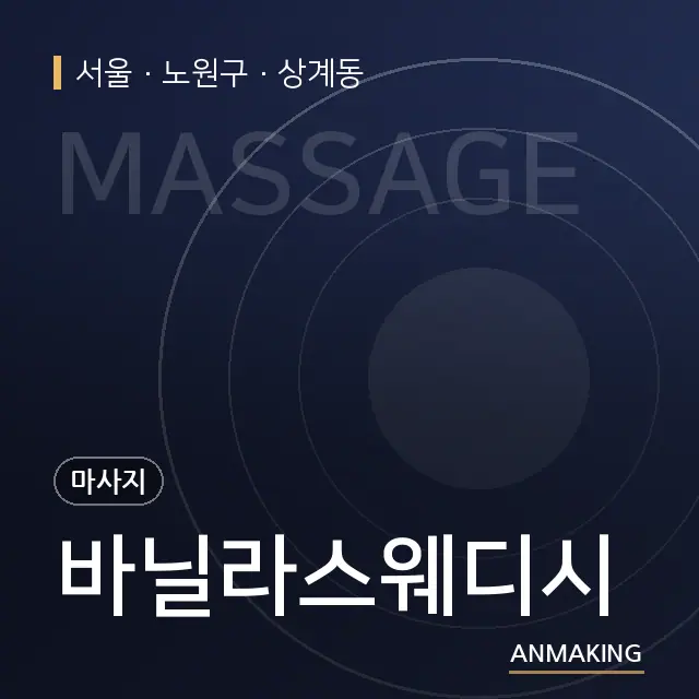 서울 노원구 바닐라스웨디시 안내 이미지