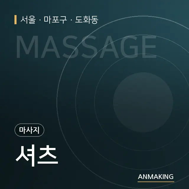 서울 마포구 셔츠 안내 이미지