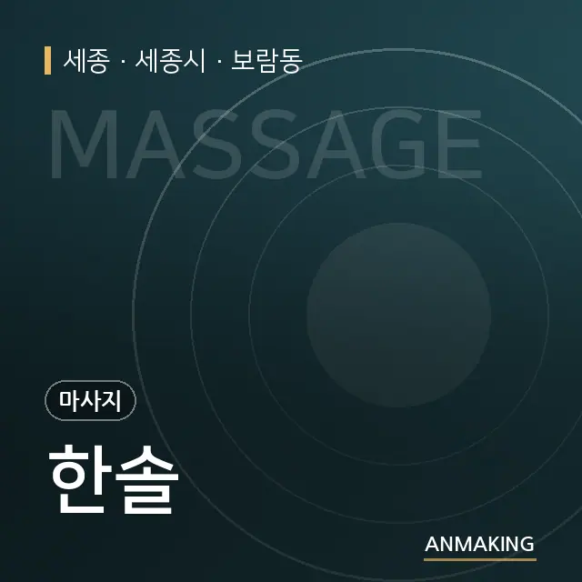 세종 세종시 한솔 안내 이미지