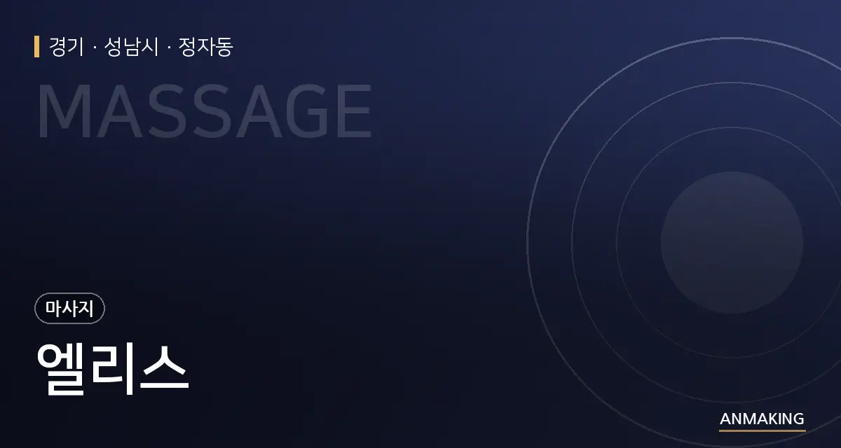경기 성남시 엘리스 안내 이미지
