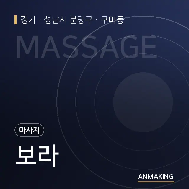 경기 성남시 분당구 보라 안내 이미지
