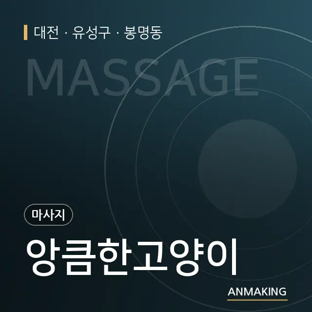 대전 유성구 앙큼한고양이 안내 이미지